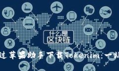 如何通过苹果助手下载T