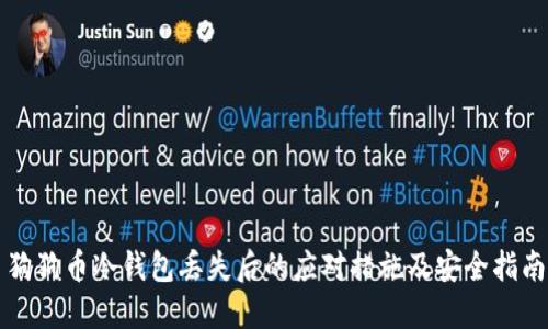 狗狗币冷钱包丢失后的应对措施及安全指南