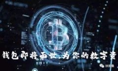 五行币电子钱包即将面世