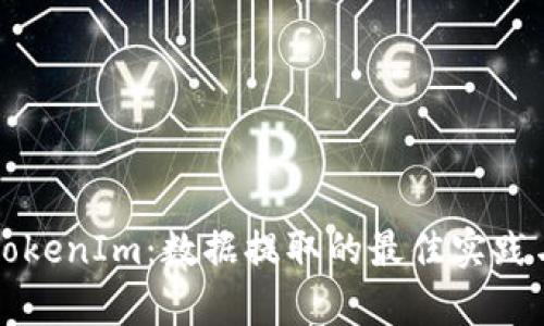 深度探索TokenIm：数据提取的最佳实践与应用分析