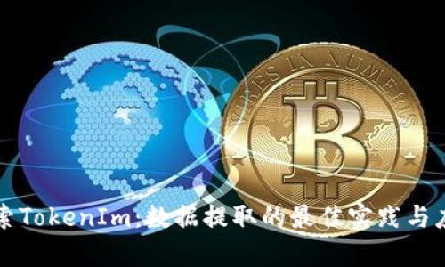 深度探索TokenIm：数据提取的最佳实践与应用分析