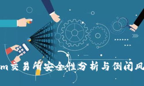 Tokenim交易所安全性分析与倒闭风险探讨