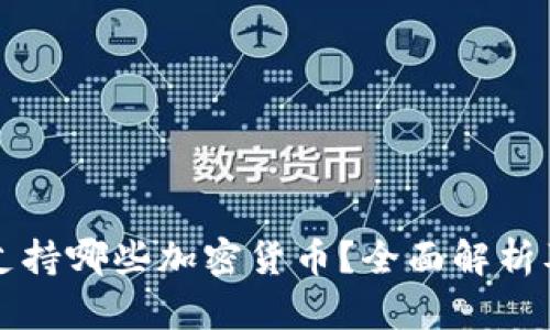 库神钱包支持哪些加密货币？全面解析及使用指南