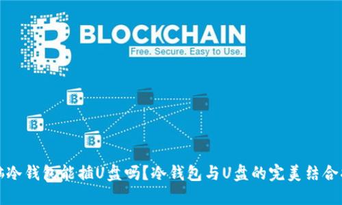 电脑冷钱包能插U盘吗？冷钱包与U盘的完美结合揭秘