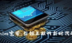 了解Tokenim宽带：引领互联